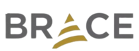 Brace Logistics Solution Private Limited